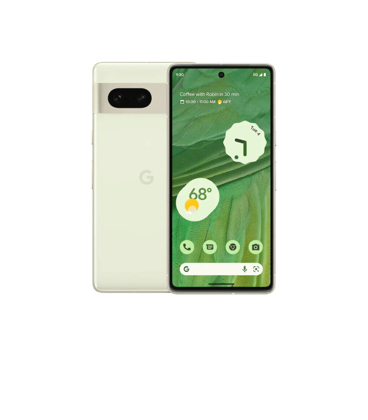p7le