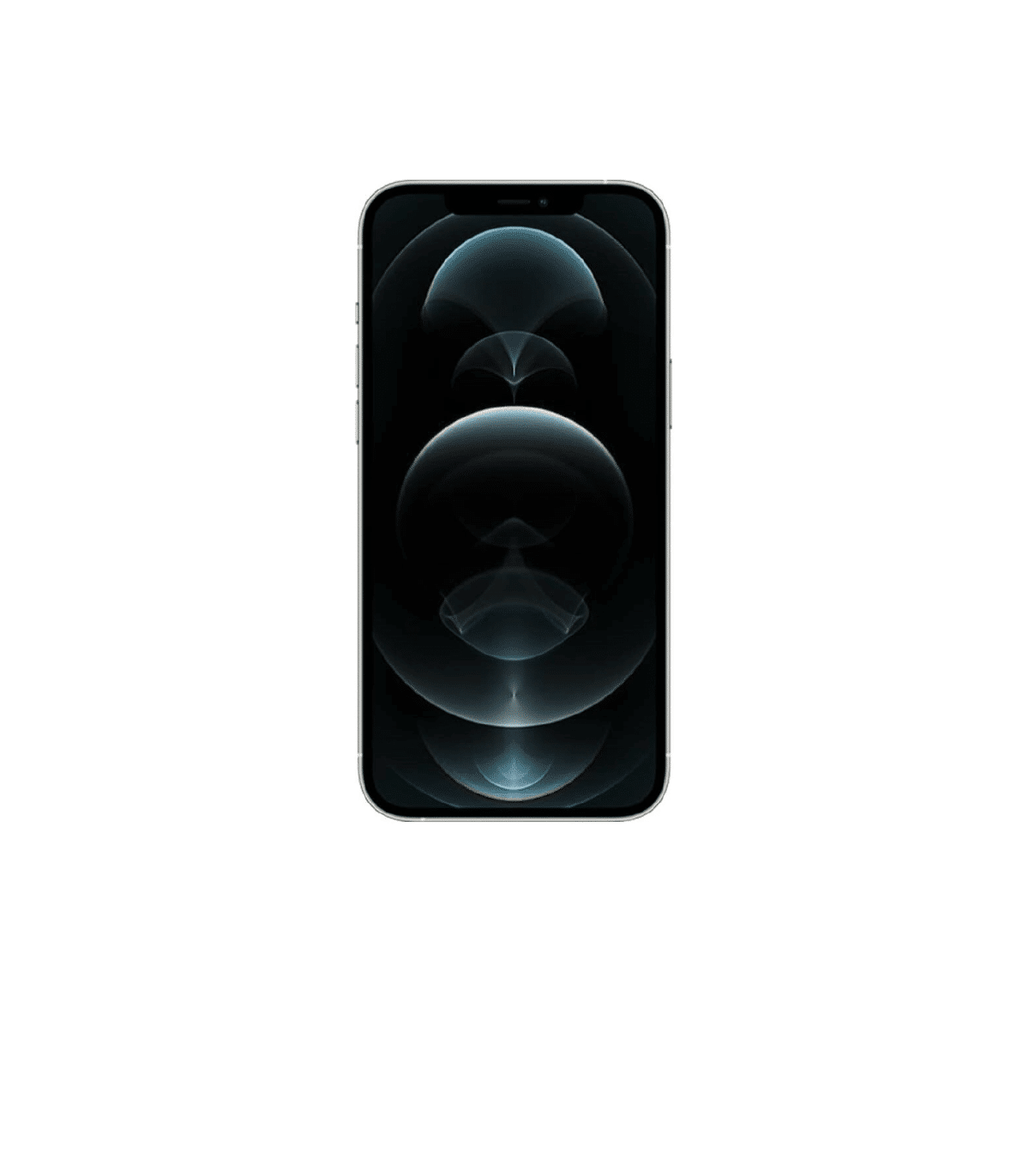 12 pro silver 01