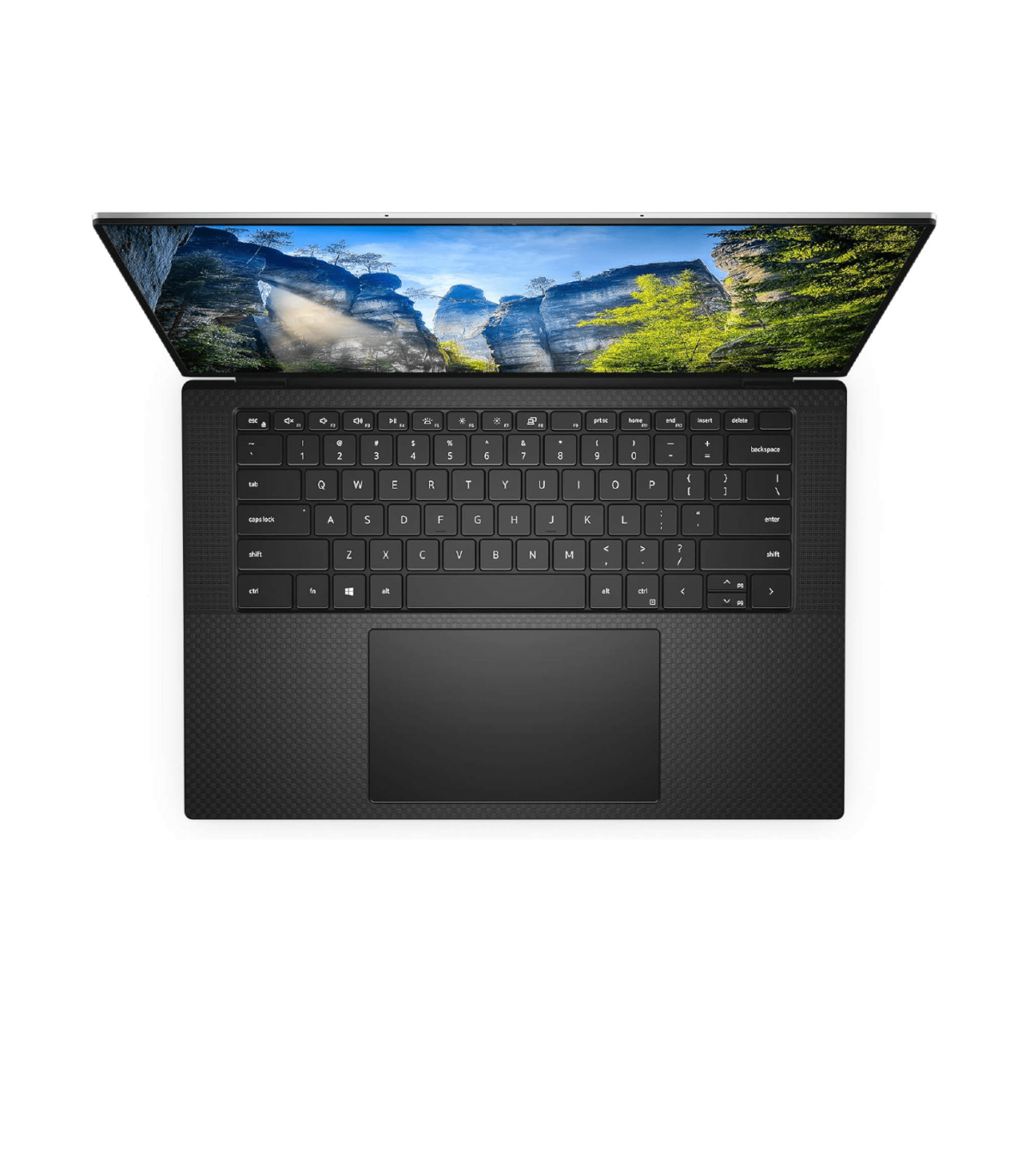 dell 5550 01
