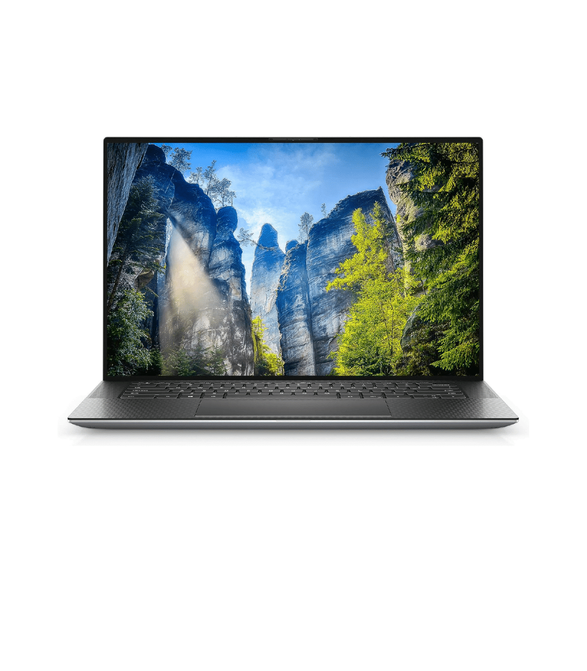 dell 5550 2 01